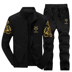 2件套男装长袖运动套装休闲外套开衫立领卫衣春秋运动服Y7-P32，男装休闲套装，星座509