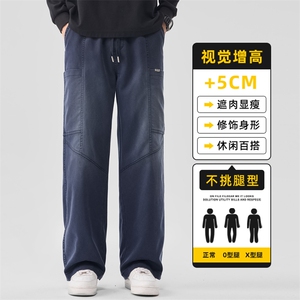 莱赛尔天丝工装裤子男款秋冬宽松多口袋直筒显高阔腿裤Z2606-P55图片