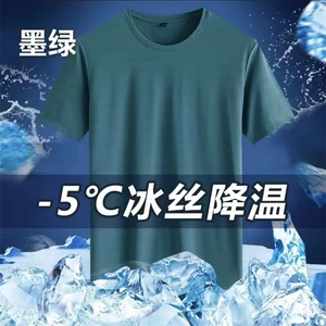 时尚休闲冰丝速干T恤2024年夏季短袖圆领图片
