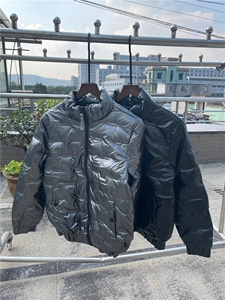 新款立领修身棉衣潮流韩版短款冬季棉袄男士防水御寒外套Y608-P65图片