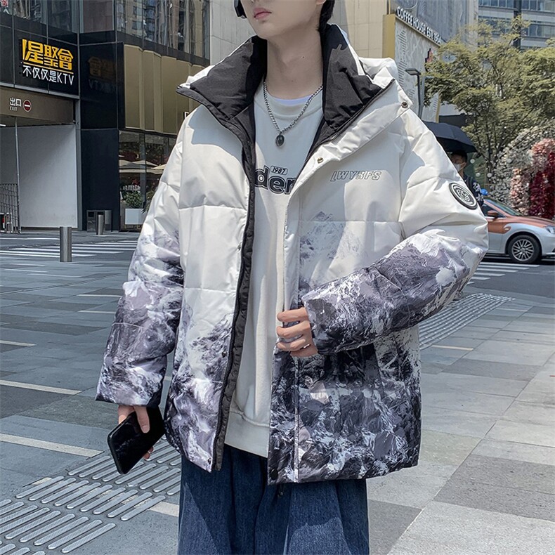 现货外贸侧飞图立领光板团体服班服宽松韩版情侣学生外套羽绒服,男装羽绒服,星座301D-5(原星座1415）