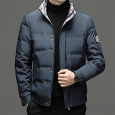 DF2313钱塘2020-2冬季厚款时尚休闲百搭中年男士羽绒服P195，男装羽绒服，钱塘207-2
