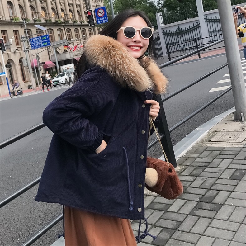 大货已出韩版连帽纯棉加厚棉衣仿毛领8818-P160控230,女装棉衣/棉服,浙宝229