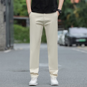 休闲长裤子直筒宽松2025新款秋冬潮流百搭男款西裤春秋D1015-P50图片