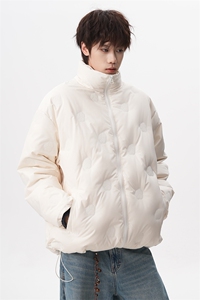 主推 90白鸭绒羽绒服  情侣款立领上衣 225-2-Y205-P255图片