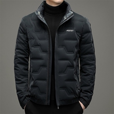 冬季新款双面穿羽绒服休闲外套爸爸装立领上衣YYYR07865-P260，男装羽绒服，电商B212（原钱塘6029）