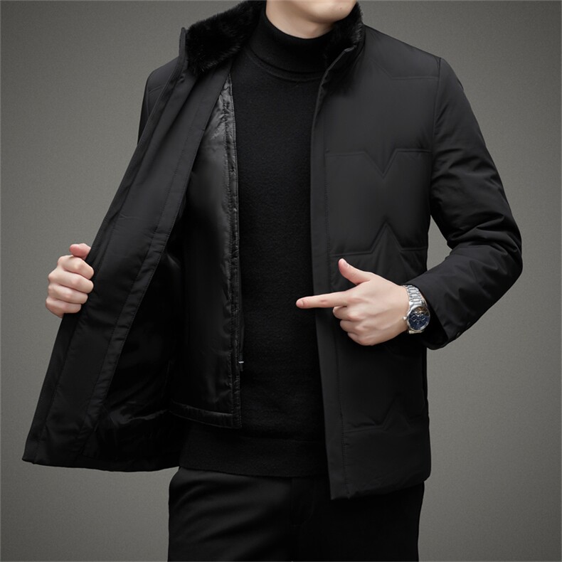 DJ9929钱塘2020-3中年男士冬季厚款商务休闲立领羽绒服P510,男装羽绒服,钱塘207-3