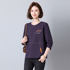 2025年秋季宽松型长袖刺绣圆领文艺刺绣风格针织打底长袖25220款，女装T恤，秋牧寒烟