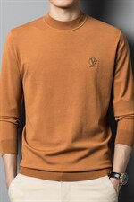 BF22310钱塘2020-2中青年男士秋季新款百搭时尚休闲针织衫P82，男装针织衫/毛衣，钱塘207-2