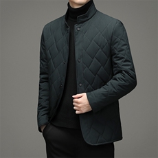 冬季棉衣男外套立领中年男士保暖棉服爸爸冬装外套ZL18108-P175，男装棉衣，电商B212（原钱塘6029）