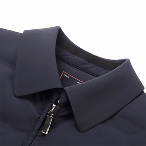 冬季男士中年厚款休闲翻领白鹅绒羽绒服男装保暖外套SJ6607-P330图片