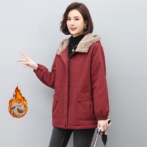 宽松挺阔工装派克加厚加绒毛内胆外套棉衣女中长款棉服图片