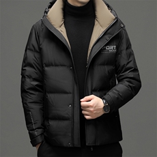 冬季新款羽绒服男中年立领短款加厚保暖外套男装商务休闲上衣，男装羽绒服，电商B212（原钱塘6029）