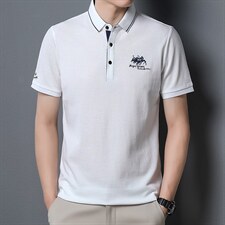 短袖T恤男夏季新款翻领商务中年男士POLO保罗衫休闲时尚男装半袖，男装T恤，电商B212（原钱塘6029）
