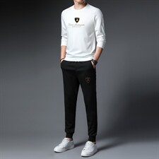 春秋季2023新款休闲运动套装男士圆领长袖t恤印花中青年男体恤衫，男装休闲套装，电商B212（原钱塘6029）