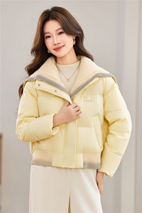 现货2025冬季新款休闲时尚无帽渐变针织领女士加厚加棉保暖棉服图片