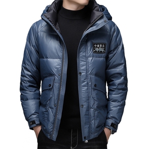 冬季可脱卸帽短款羽绒服中青年男士冬装外套上衣DFLDY3003-P320图片