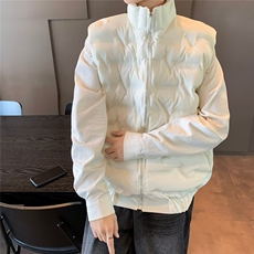 秋冬季羽绒棉服马甲男2025新款潮流外穿保暖加厚坎肩立领工装，男装背心/马甲，星座1210-1