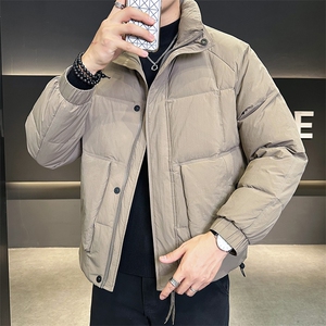 2025冬季店主风立领男士外套轻熟宽松保暖羽绒服YR28602-P185图片