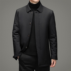羽绒服中年男常规款冬季商务休闲翻领外套新款DFLDY16001-P245，男装羽绒服，电商B212（原钱塘6029）