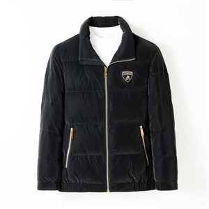 冬装新款中老年羽绒服男立领灰鸭绒爸爸装外套上衣ALXB21036-P275图片