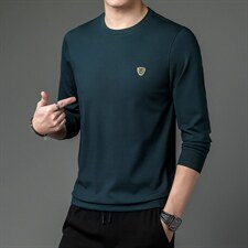 秋季男装圆领印花卫衣春秋2023新款中年商务休闲男士长袖上衣，男装卫衣，电商B212（原钱塘6029）