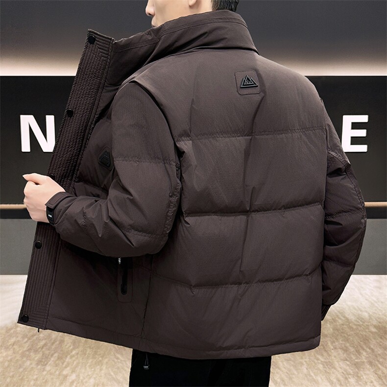 DS-A225标50冬季新款男士立领内衬石墨烯白鸭绒羽绒服3139P175,男装羽绒服,电商A225