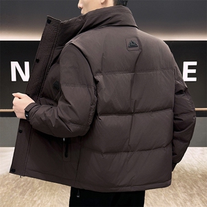 DS-A225标50冬季新款男士立领内衬石墨烯白鸭绒羽绒服3139P175图片