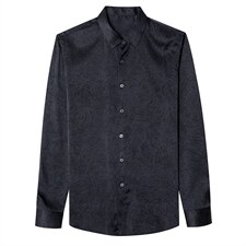 长袖衬衫男秋季薄款商务休闲时尚高级感免烫衬衣2023新款，男装衬衫，电商B212（原钱塘6029）