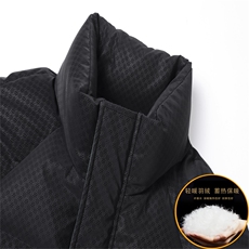 V2309钱塘2020-3秋冬新款男士羽绒服外套立领宽松休闲面包服P220，男装羽绒服，钱塘207-3