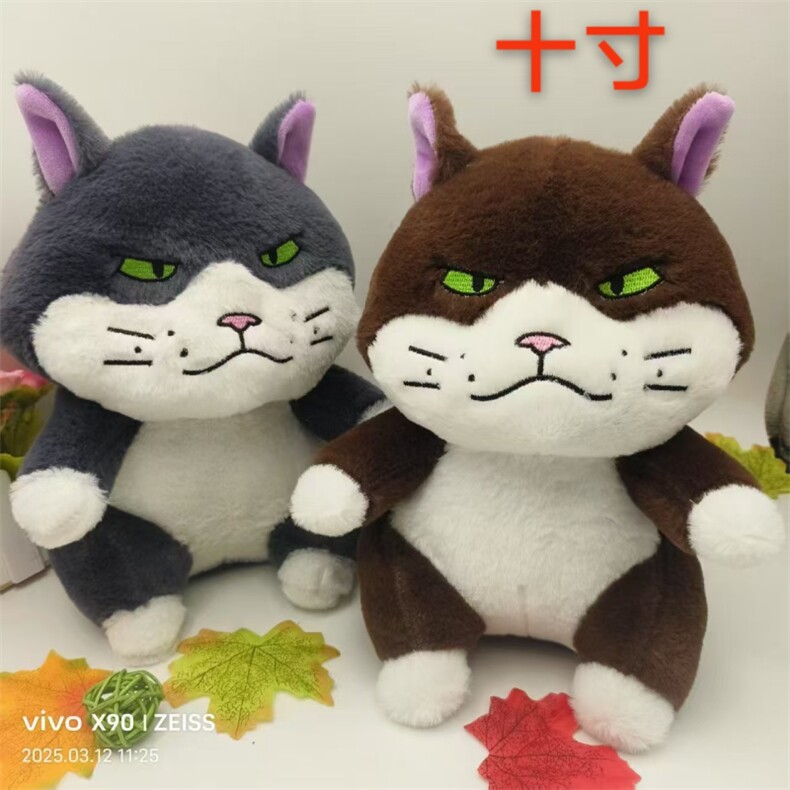 大脸猫，王艳涛毛绒玩具厂