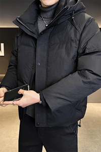 标50绒 羽绒服男冬季2025新款外套  B255-2570-P235图片