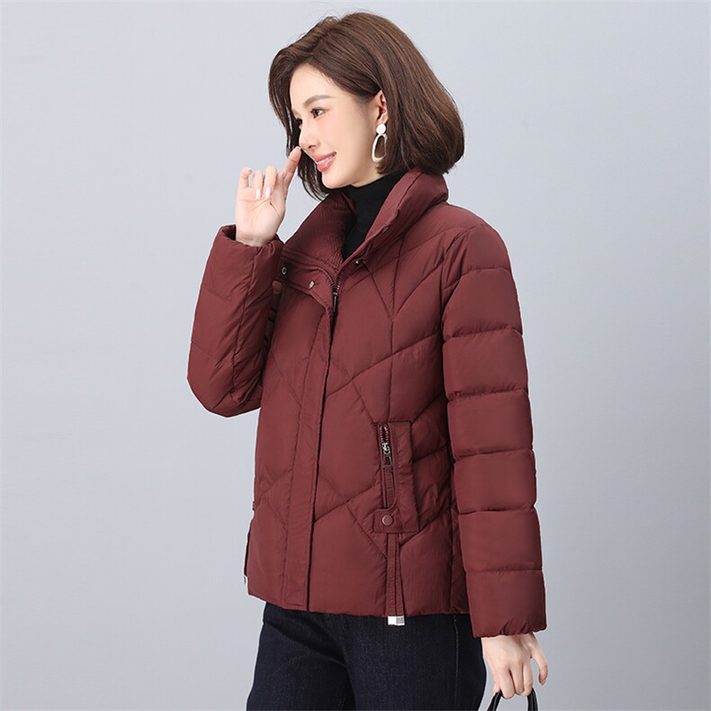 2024年冬季新款时尚立领棉服休闲羽绒棉棉服,女装棉衣/棉服,依恋蒂丝