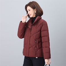 2024年冬季新款时尚立领棉服休闲羽绒棉棉服，女装棉衣/棉服，依恋蒂丝