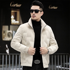 B2365钱塘2020-3时尚休闲厚款百搭新款冬季中年男士羽绒服P158，男装羽绒服，钱塘207-3