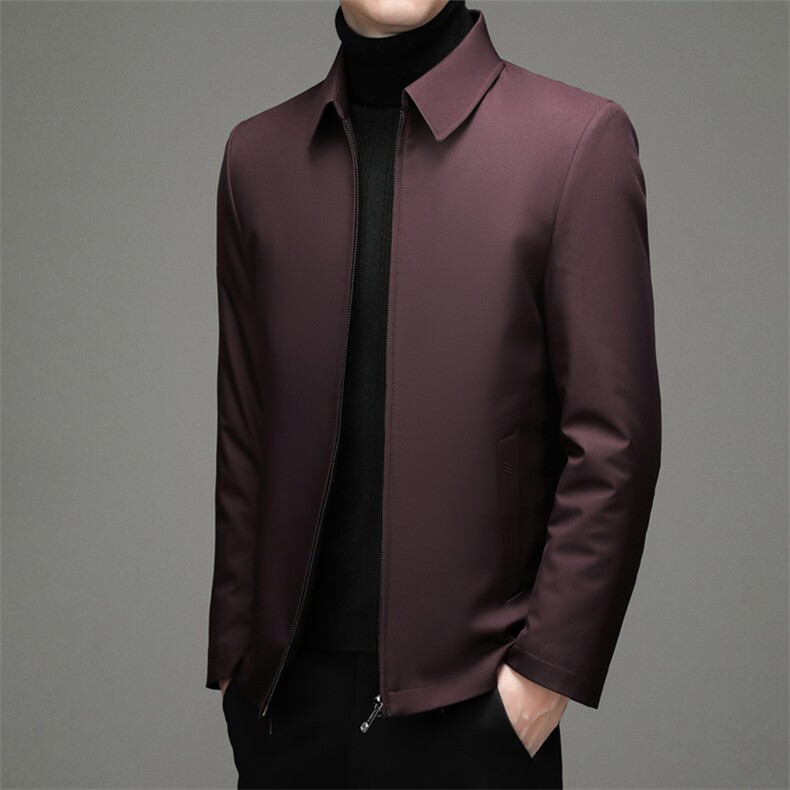 DZ32132钱塘2020-3冬季厚款商务休闲简约中年男士羽绒服P185,男装羽绒服,钱塘207-3