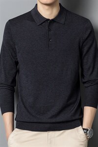 DN5521男式2023年秋季长袖羊毛针织t恤中老年翻领时尚体恤P53图片