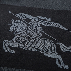 SM8811春秋款男士长袖卫衣印花P37，男装卫衣，电商B360