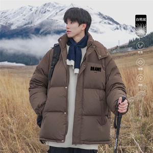 港风23冬季时尚百搭立领连帽羽绒服外套YR63604P225控298图片