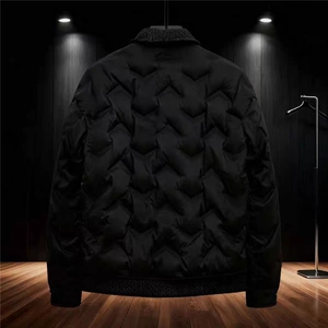 (网图)男士衬衫领设计麦穗纹理羽绒服轻奢时尚保暖313B-2568-P145图片