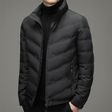 2023冬季休闲男士羽绒服青年男装加厚保暖90%白鸭绒ZL02167-P195，男装羽绒服，星座1105-3