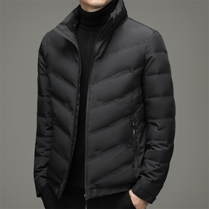 2023冬季休闲男士羽绒服青年男装加厚保暖90%白鸭绒ZL02167-P195图片
