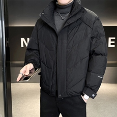 90%标白鸭绒2025冬季立领休闲短款加厚羽绒服外套M8752-P290，男装羽绒服，电商A413