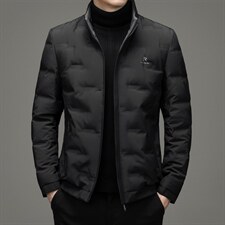 中年男立领羽绒服男短款冬装外套白鸭绒爸爸装上衣XX2189-P250图片
