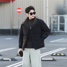 标50绒男士字母立领羽绒服保暖外套2505-P195(券后288)，男装羽绒服，电商B338