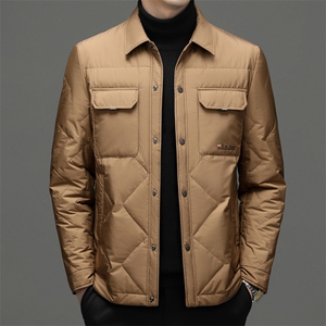 DF22343钱塘2020-2商务百搭简约厚款翻领新款中年男士羽绒服P230图片