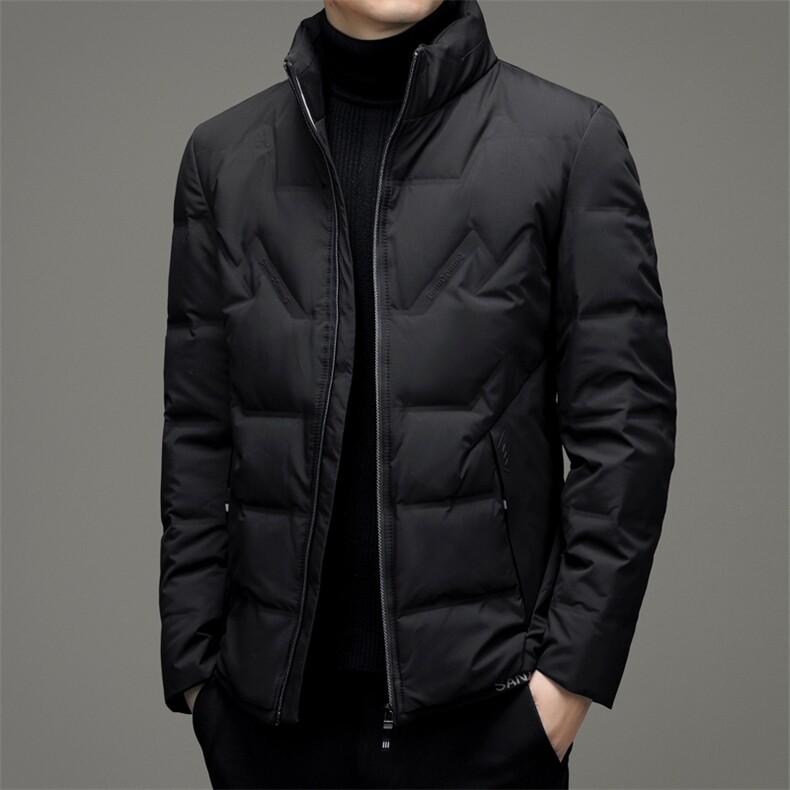 DJ9812钱塘2020-3冬季厚款商务休闲立领中年男士羽绒服P228,男装羽绒服,钱塘207-3