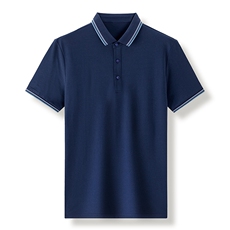 夏季新款男士翻领短袖t恤中年有领男装上衣服休闲POLO衫，男装T恤，电商B212（原钱塘6029）