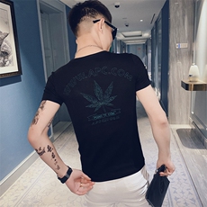 312A-T10-P35新款社会小伙短袖T恤修身潮流男士半袖体恤B，男装T恤，星座312A-5