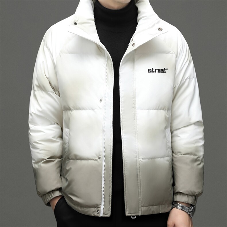 冬装白鸭绒羽绒服男士2023新款中青年立领休闲上衣厚款保暖外套,男装羽绒服,电商B212（原钱塘6029）